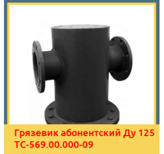 Грязевик абонентский Ду 125 ТС-569.00.000-09 в Нарыне