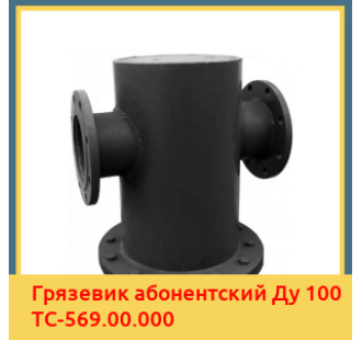 Грязевик абонентский Ду 100 ТС-569.00.000 в Нарыне