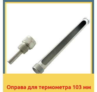 Оправа для термометра 103 мм в Нарыне