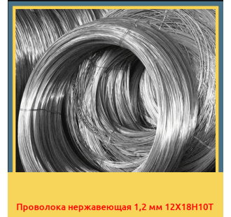 Проволока нержавеющая 1,2 мм 12Х18Н10Т в Нарыне