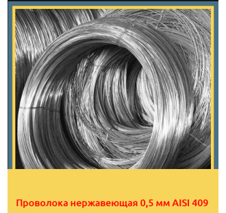 Проволока нержавеющая 0,5 мм AISI 409 в Нарыне