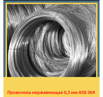 Проволока нержавеющая 0,3 мм AISI 304 в Нарыне