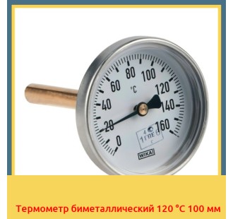 Термометр биметаллический 120 °С 100 мм в Нарыне