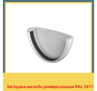 Заглушка желоба универсальная RAL 1017 в Нарыне